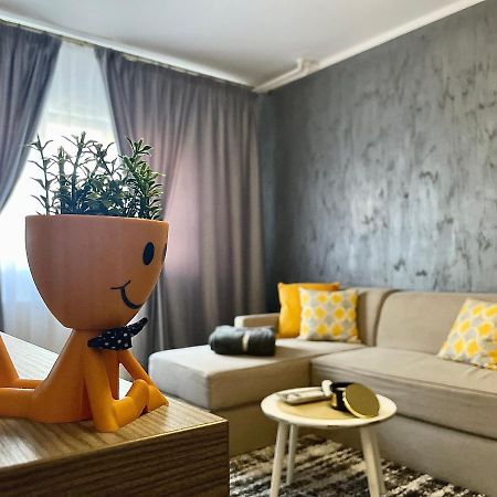 S&S Apartment Studio At Ground Floor Timisoara Town !!! Parcare La Locatie !! Exteriör bild