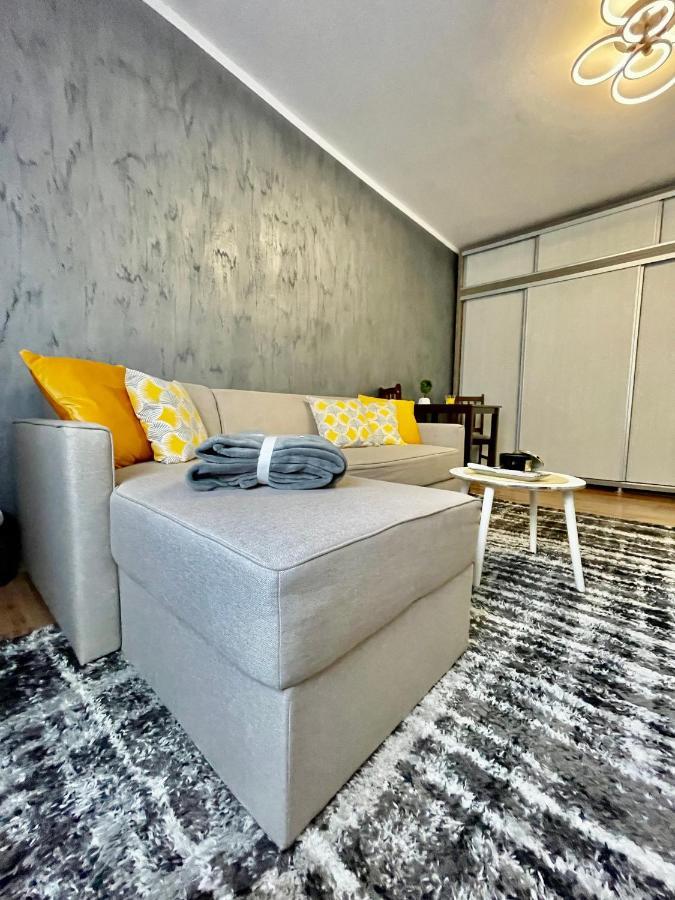 S&S Apartment Studio At Ground Floor Timisoara Town !!! Parcare La Locatie !! Exteriör bild