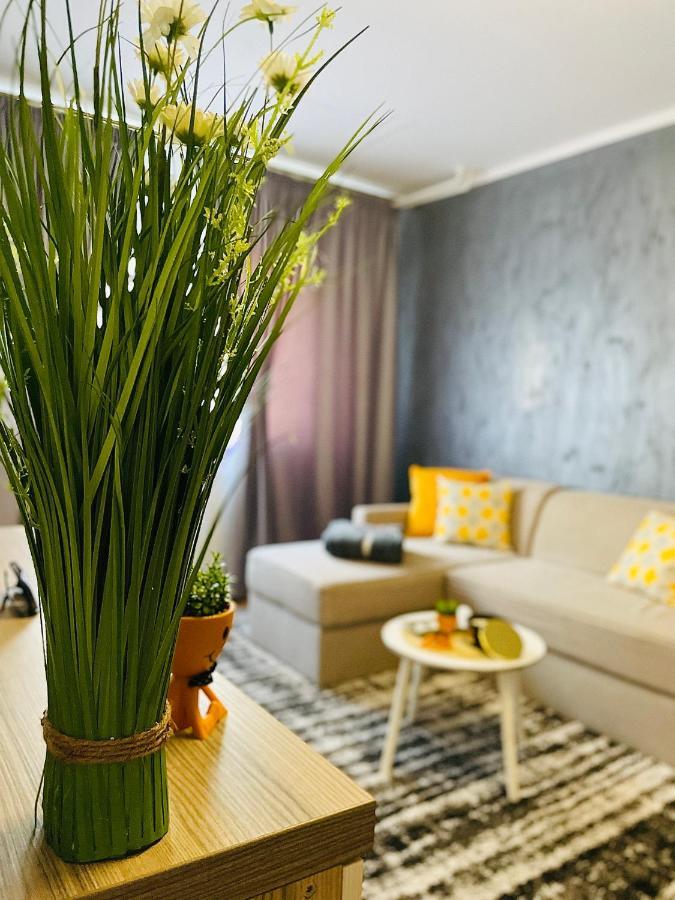 S&S Apartment Studio At Ground Floor Timisoara Town !!! Parcare La Locatie !! Exteriör bild