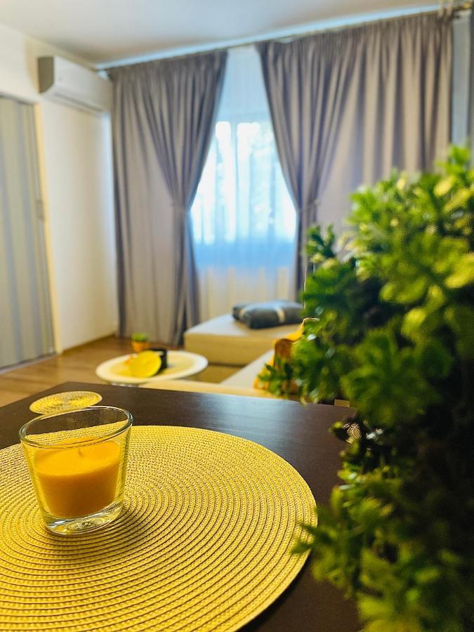 S&S Apartment Studio At Ground Floor Timisoara Town !!! Parcare La Locatie !! Exteriör bild