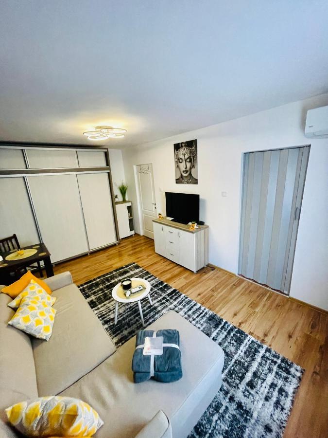 S&S Apartment Studio At Ground Floor Timisoara Town !!! Parcare La Locatie !! Exteriör bild