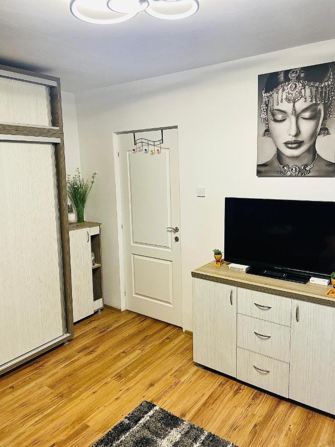 S&S Apartment Studio At Ground Floor Timisoara Town !!! Parcare La Locatie !! Exteriör bild